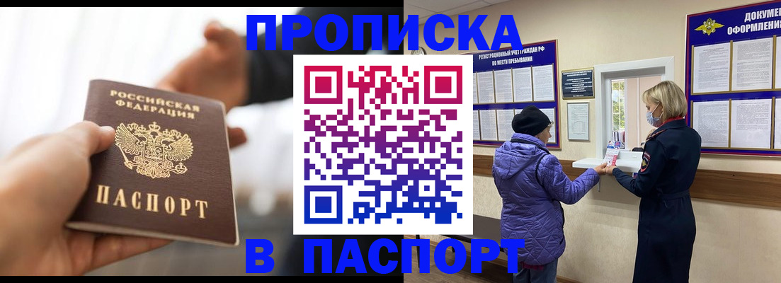 прописка законно в Новозыбкове